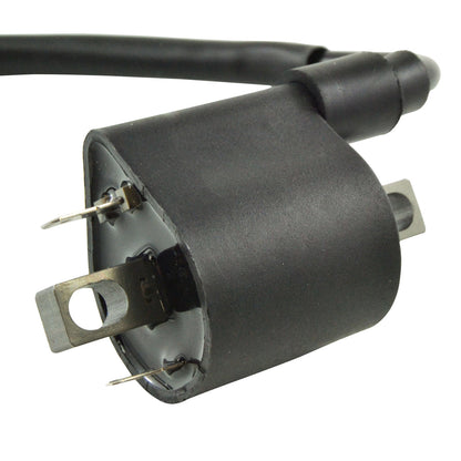 External Ignition Coil W/Spark Plug Cap