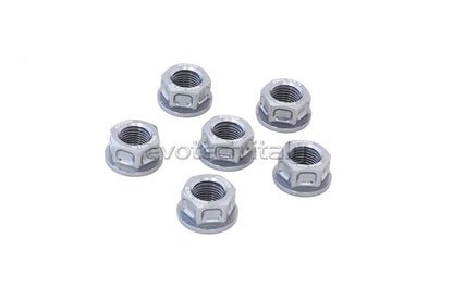Evotech Srl Billet Aluminum Flange Nuts or Sprocket Nuts for Ducati's (set of 6) M10x1.0
