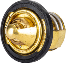 Thermostat W/Gasket Pol