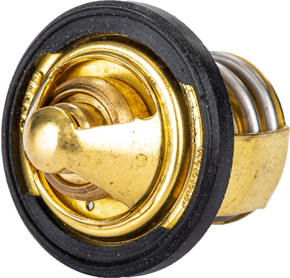 Thermostat W/Gasket Pol