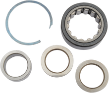 EASTERN MOTORCYCLE PARTS Bearing Kit with Washers and Race - Big Twin A-24004-03