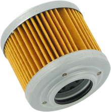 PARTS UNLIMITED Oil Filter 0256185