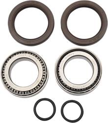 PIVOT WORKS Wheel Bearing Kit - Rear - '00-'03 DS 650 PWRWK-C05-000