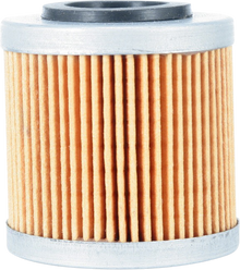 PARTS UNLIMITED Oil Filter 800081675