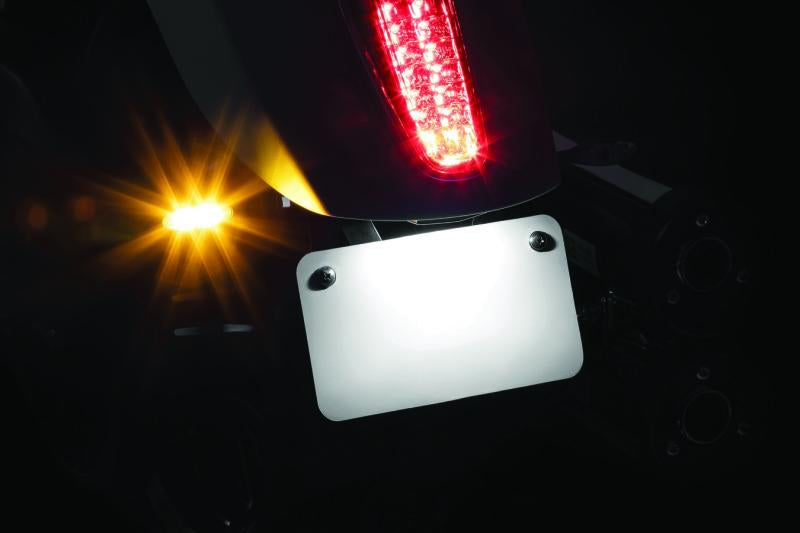 Kuryakyn Rear Ts & Lp Mount Scout