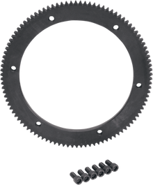 DRAG SPECIALTIES Starter Ring Gear 102 Tooth - Harley Davidson 148163