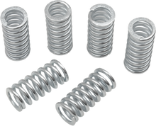 BELT DRIVES LTD. Clutch Springs - 6 Pack ECS-100