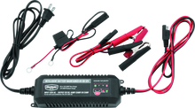 BikeMaster Intelligent Battery Charger