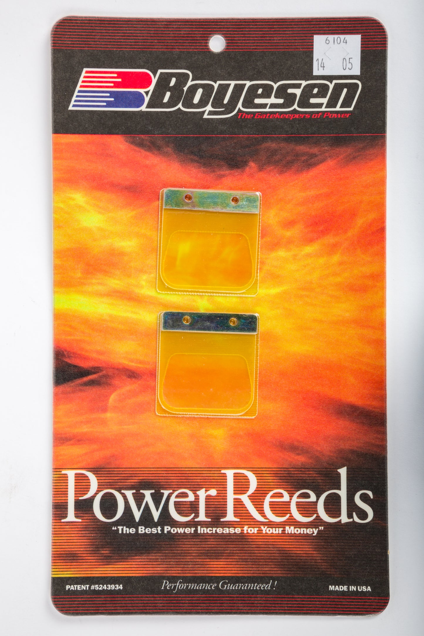 Motorcycle Reeds