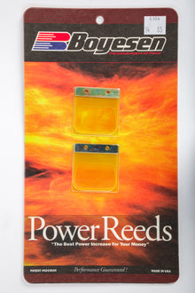 Motorcycle Reeds