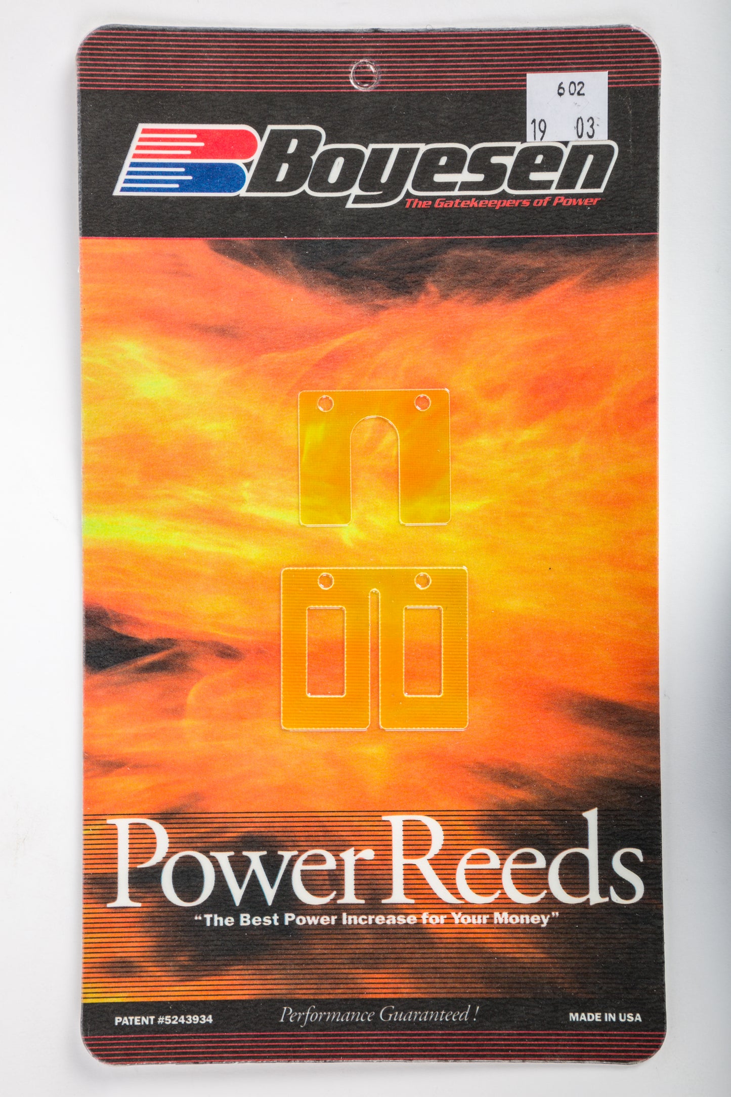 Motorcycle Reeds