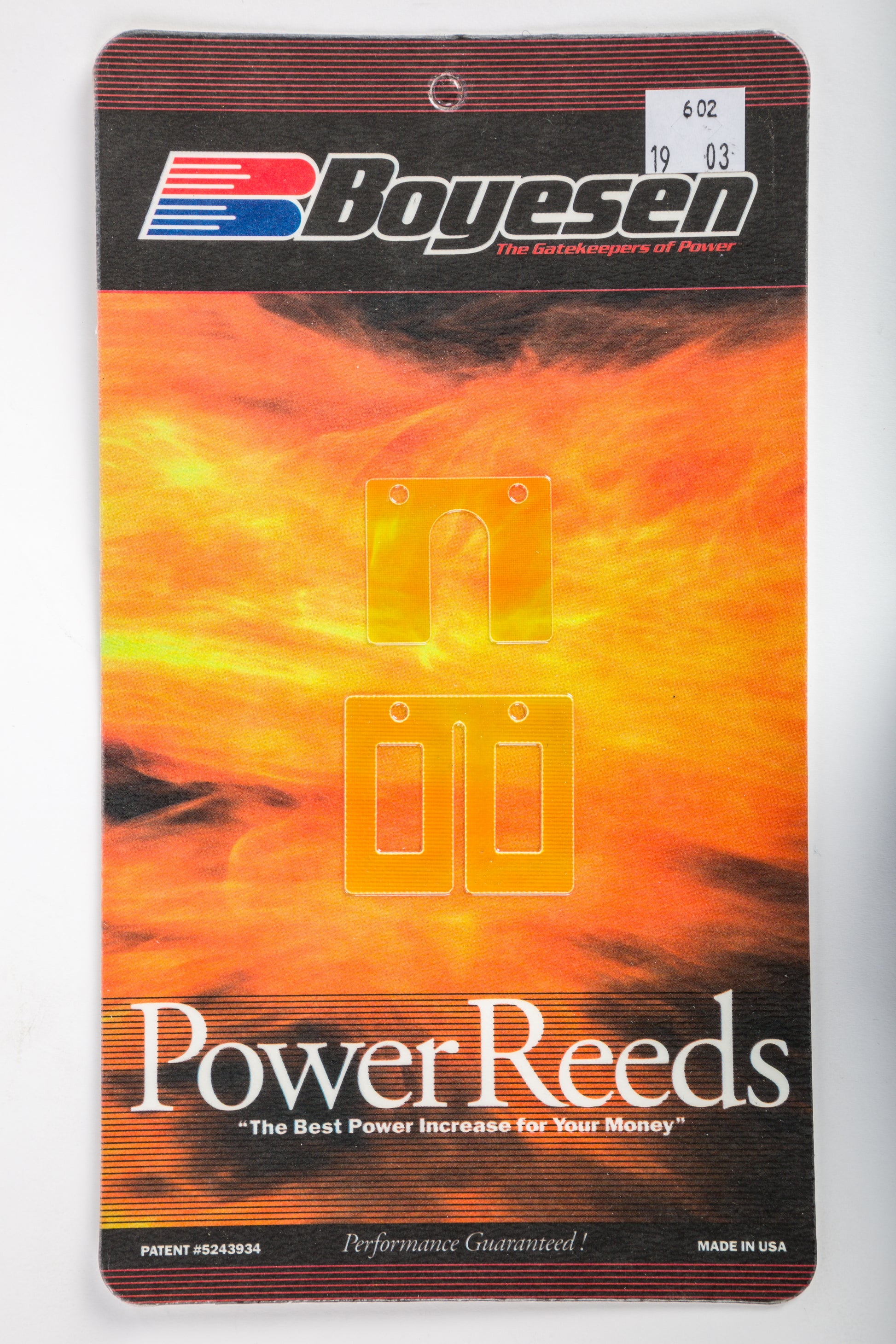 Motorcycle Reeds