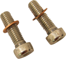 DRAG SPECIALTIES Screws with/Washers - Damper Tube C23-0237NU-2