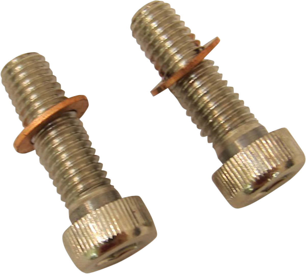 DRAG SPECIALTIES Screws with/Washers - Damper Tube C23-0237NU-2