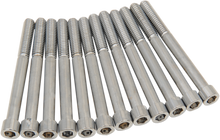 DRAG SPECIALTIES Bolt Kit - Crankcase - Smooth/Socket-Head - Chrome - M8 MK778S