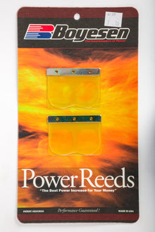 Motorcycle Reeds
