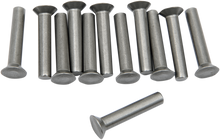 EASTERN MOTORCYCLE PARTS Ratchet Plate Rivets A-8215