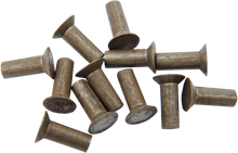 EASTERN MOTORCYCLE PARTS Ratchet Plate Rivets A-8216