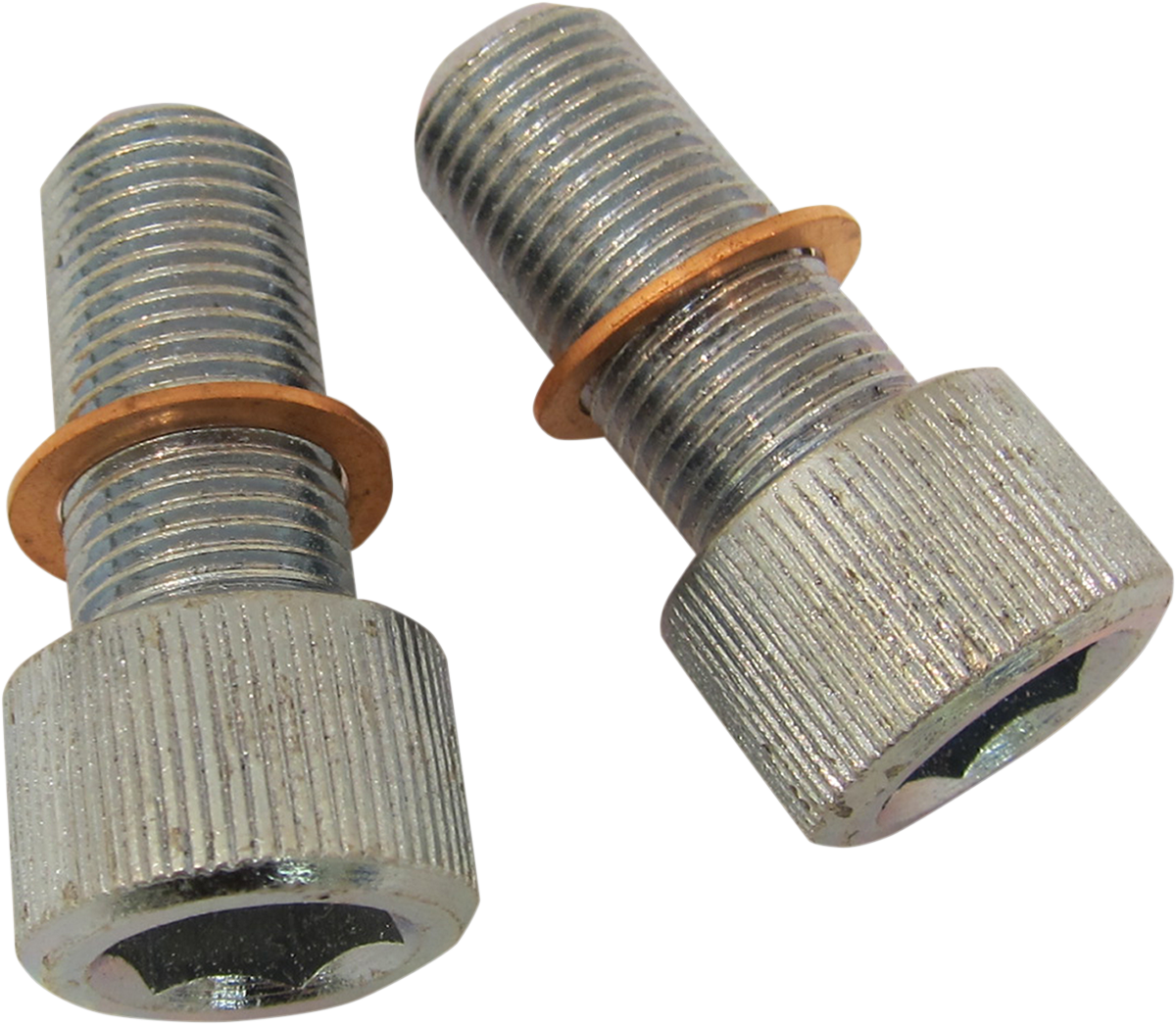 DRAG SPECIALTIES Screws with/Washers - Damper Tube C23-0236NU-2