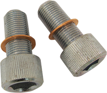 DRAG SPECIALTIES Screws with/Washers - Damper Tube C23-0236NU-2