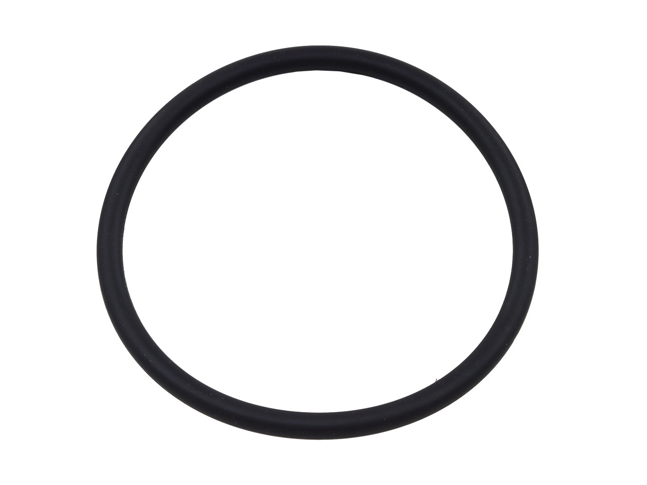 Fuel Pump Seal