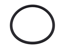 Fuel Pump Seal