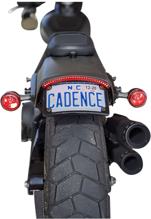 CUSTOM DYNAMICS LED Taillight with Turn Signal - Red CD-FATBOB-R
