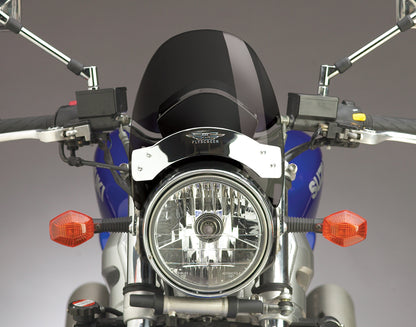 Flyscreen Ws Dark Smoke Chrome Hardware