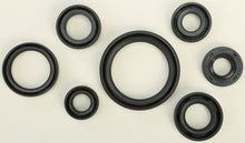 Oil Seal Set