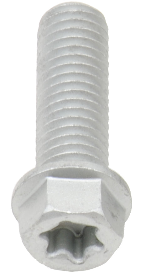 Euro Torx Flange Bolt 8x.1.25x25mm 10/Pk