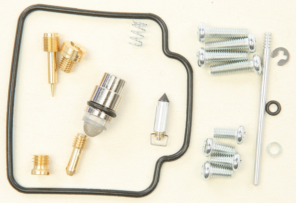 Carburetor Repair Kit
