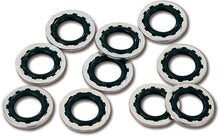 3/8" Banjo Bolt Seal Washer 10/Pk OEM# 41731 82