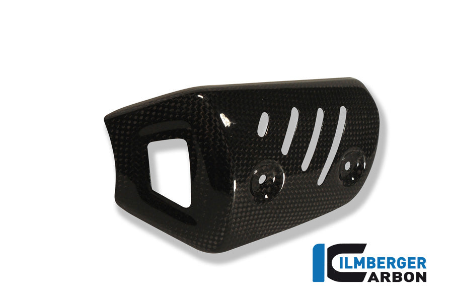 Ilmberger Carbon Front Silencer Protectror, Carbon for the BMW F 800 R 2009-2014