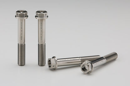 AELLA Titanium Caliper Bolts for BMW Models (M10x65, 1.5 pitch)