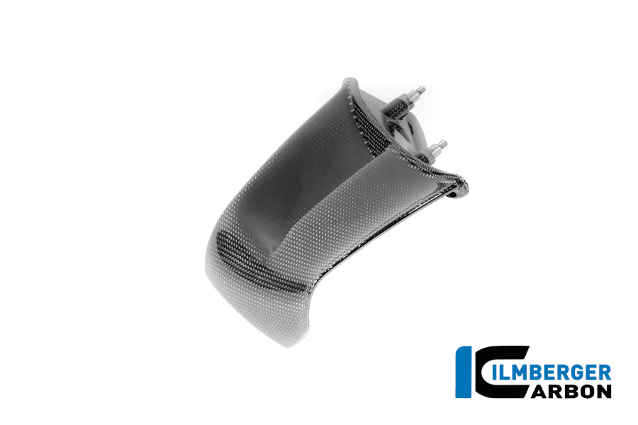 Ilmberger Carbon Left, Winglet Gloss for the Ducati Panigale V4 / V4 S '2025