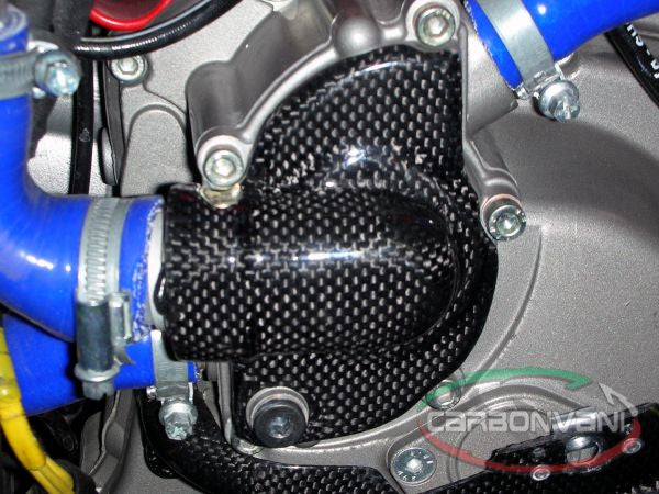 CARBONVANI - DUCATI MULTISTRADA 1200 CARBON FIBER WATER PUMP PROTECTION for 2010-2014