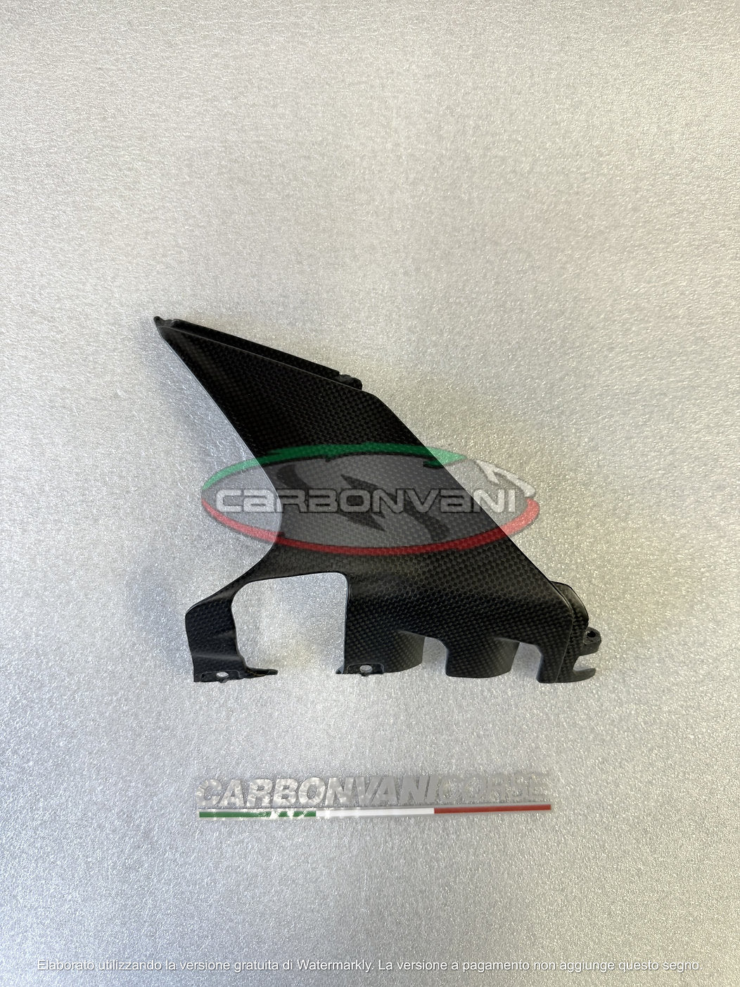 Carbonvani - Ducati Panigale / Streetfighter V4 Carbon Fiber Exhaust Delete Inserts (2025+)