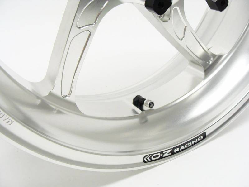 OZ Racing PIEGA FORGED ALUMINUM REAR WHEEL: BMW S1000RR / S1000R / HP4