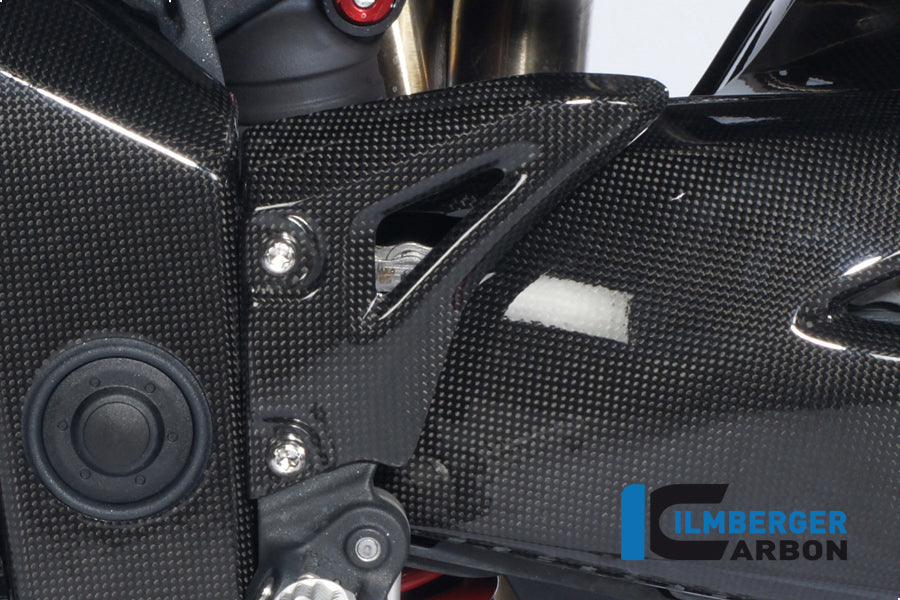 Ilmberger Carbon Heel Protector Left, for the Triumph Speed Triple '11-25