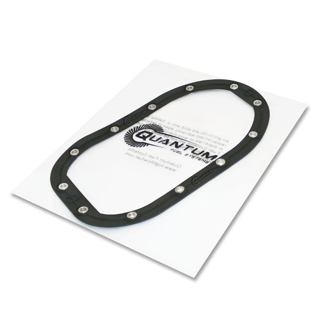 Quantum Fuel Systems OEM Replacement In-Tank EFI Fuel Pump w/ Fuel Pressure Regulator, Tank Seal, Strainer for the Harley Davidson FXD Dyna / Dyna Switch Back '2008 & etc.