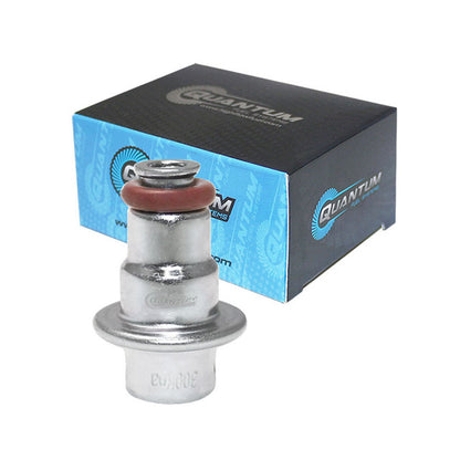 Quantum Fuel Systems OEM Replacement In-Tank EFI Fuel Pump w/ Fuel Pressure Regulator, Tank Seal, Strainer for the Honda NT700V '10-11