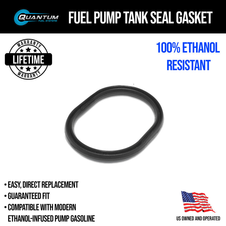 Quantum Fuel Systems OEM Replacement In-Tank EFI Fuel Pump with Fuel Pressure Regulator, Tank Seal, Fuel Filter, Strainer for the KTM 690 Duke '08-15 & etc.