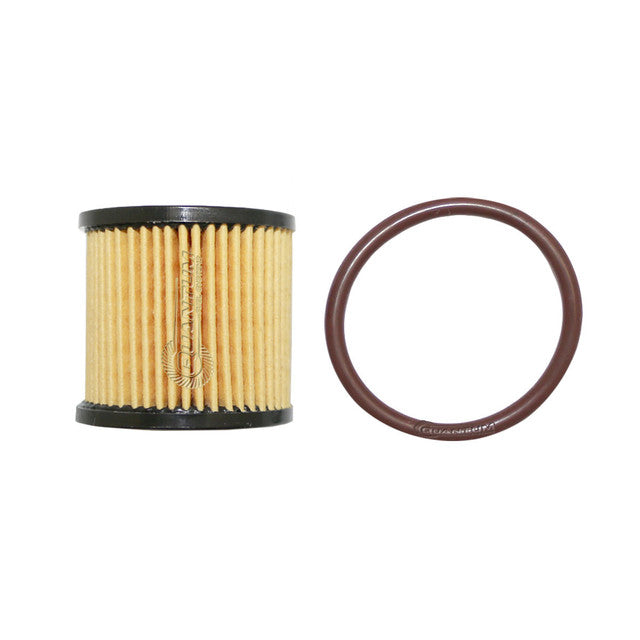 Quantum Fuel Systems Fuel Filter Kit w/ O-ring for the Harley Davidson Switchback '12-16, Road King '04-23 & etc.