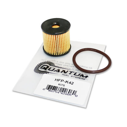Quantum Fuel Systems Fuel Filter Kit w/ O-ring for the Harley Davidson Switchback '12-16, Road King '04-23 & etc.