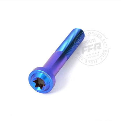 Proti M10 Universal Bolt M10L60-OTB01