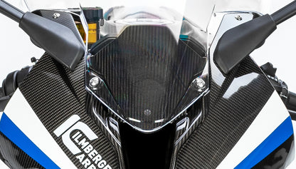 Ilmberger Carbon Instrument Cover for the BMW S 1000 RR '19-23 / M 1000 RR '21-22