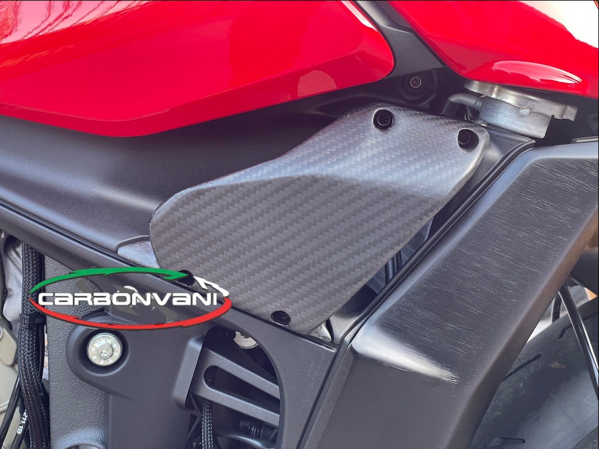 Carbonvani - Ducati Streetfighter V4 / V2 GP Style Carbon Fiber Winglet Kit (2 pieces)