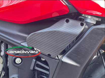 Carbonvani - Ducati Streetfighter V4 / V2 GP Style Carbon Fiber Winglet Kit (2 pieces)