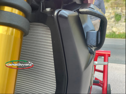 Carbonvani - Ducati Streetfighter V4 / V2 GP Style Carbon Fiber Winglet Kit (2 pieces)