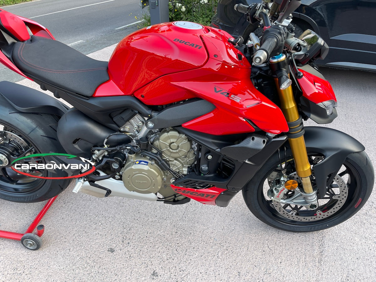 Carbonvani - Ducati Streetfighter V4 / V2 GP Style Carbon Fiber Winglet Kit (2 pieces)